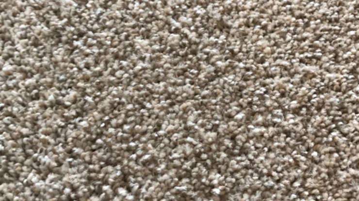 Carpet